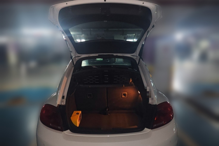 Volkswagen Beetle 2015 car image #18