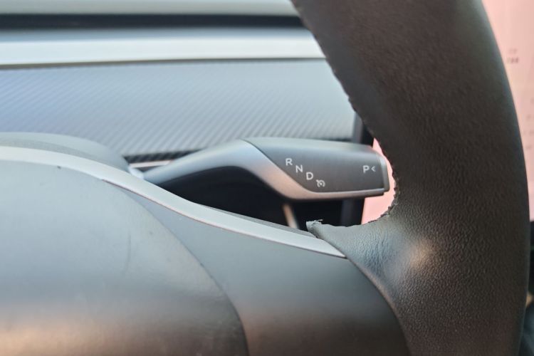 特斯拉 Model 3(进口) 2019 汽车图片 #18