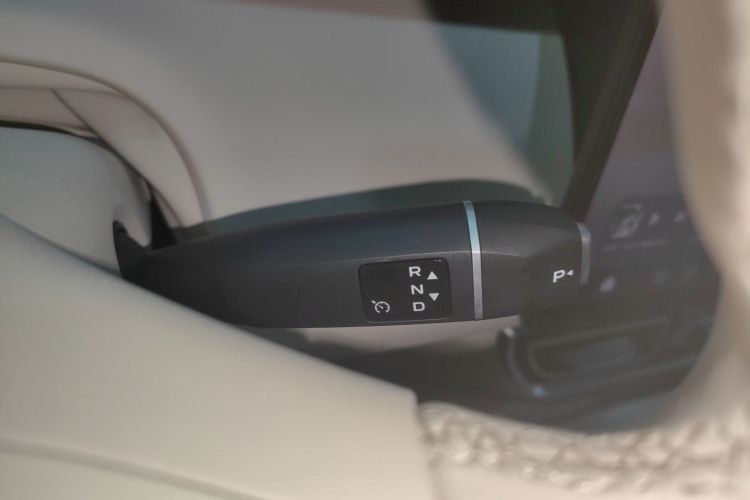 Deepal S09 2025 car image #18