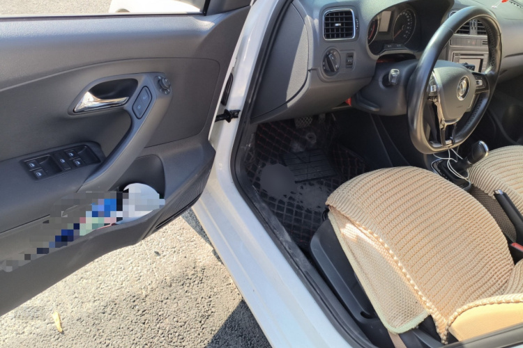 Polo 2017 immagine di auto #18
