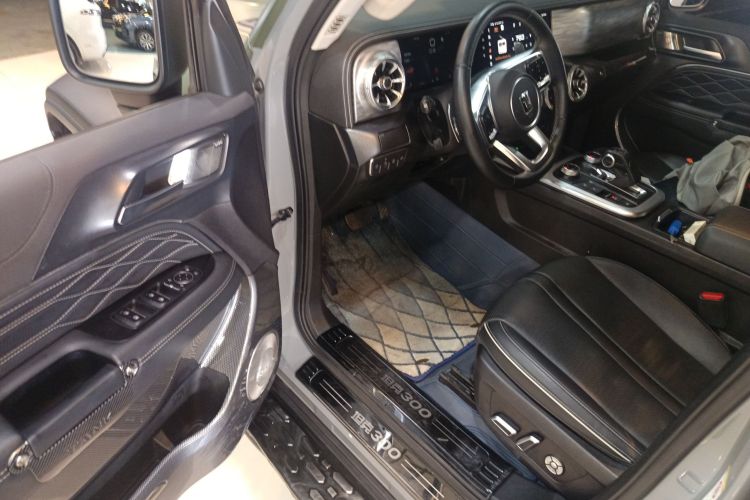 Tank 300 2022 car image #18