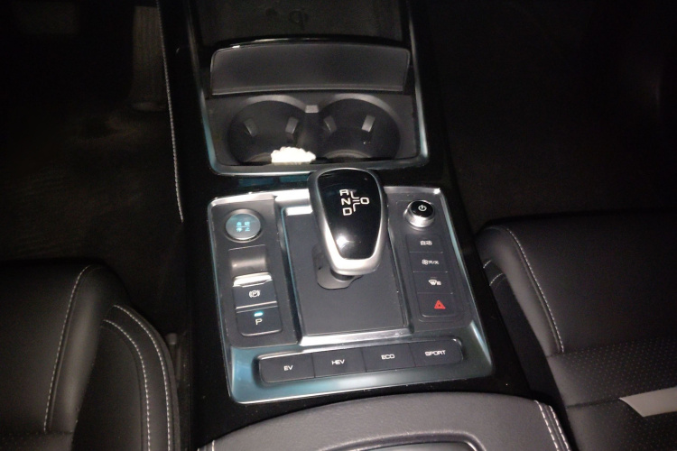 BYD Qin Pro New Energy 2020 immagine di auto #18