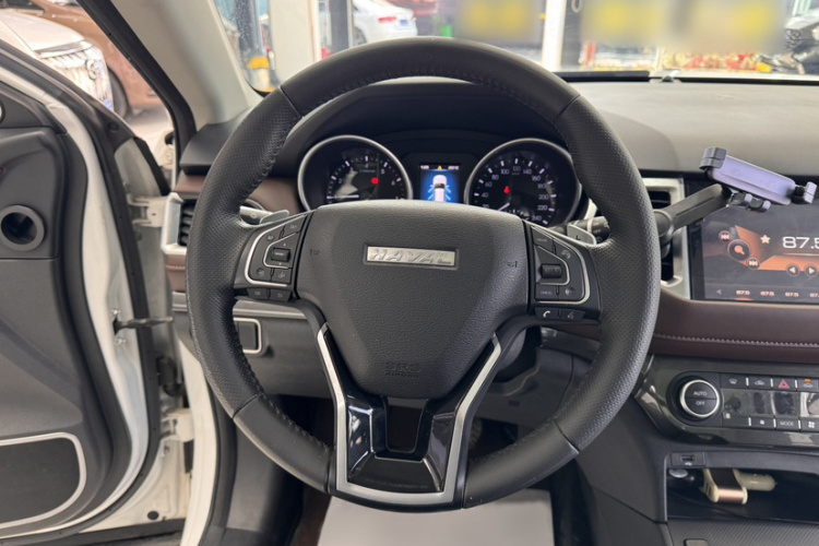Haval H6 Coupe 2019 immagine di auto #18