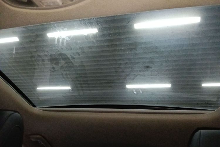 Hyundai Lafesta 2020 imagen de coche #18