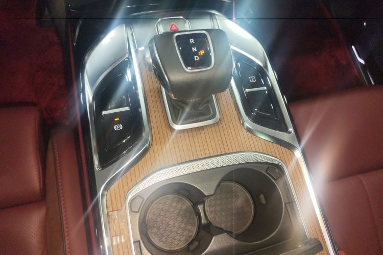 HongQi E-HS9 2021 immagine di auto #18