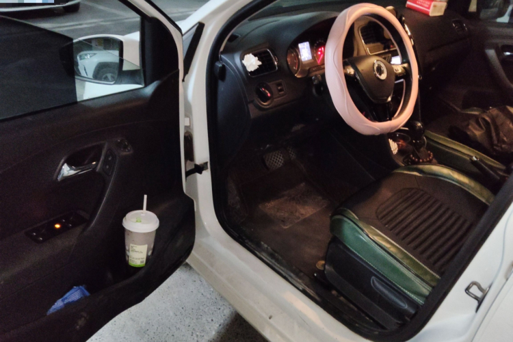 Polo 2016 car image #18