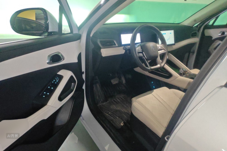 BYD YuanUP 2024 car image #18