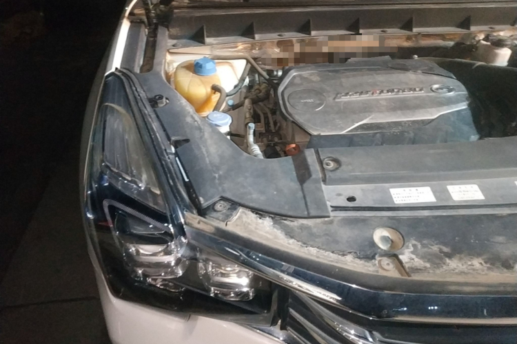 GAC Trumpchi GS7 2019 car image #18