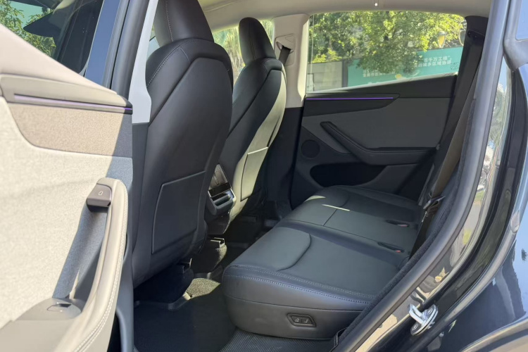 Tesla Model Y 2025 car image #18