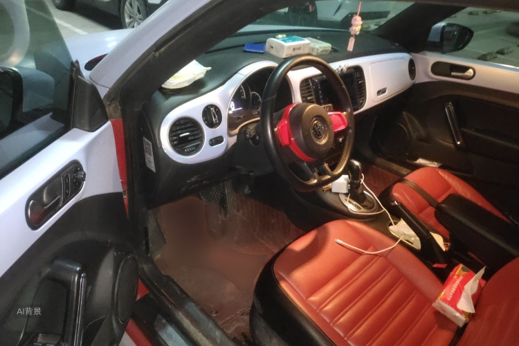 Volkswagen Beetle 2015 immagine di auto #18