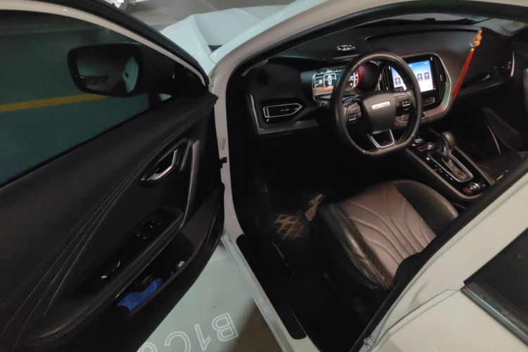 Jetour X70 2019 car image #18