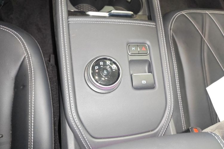 Ford Mustang Mach-E 2023 car image #18