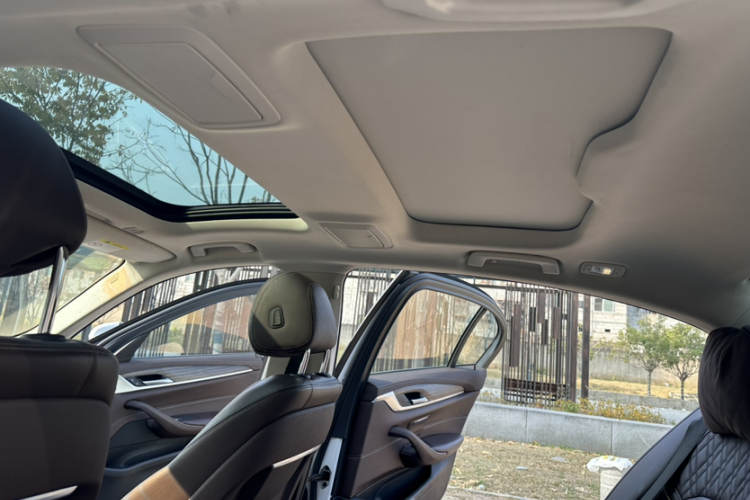 BMW 5 Series New Energy 2020 car image #18