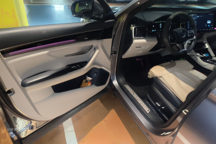 BYD Song Plus New Energy 2022 immagine di auto #18