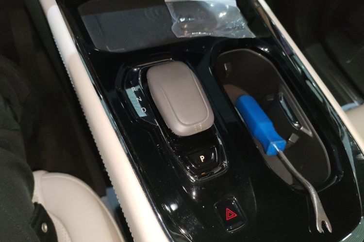 极氪 极氪009 2023 汽车图片 #18