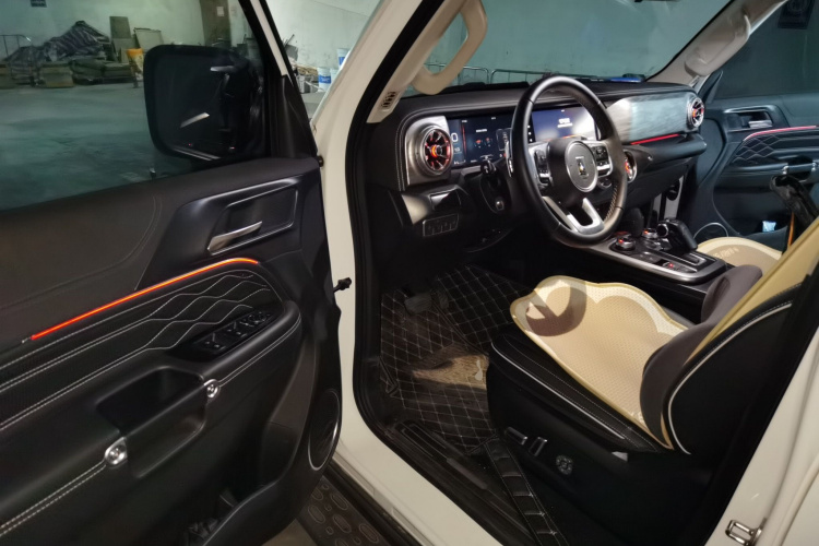 Tank 300 2021 #18 Tank 300 2021 car image #18