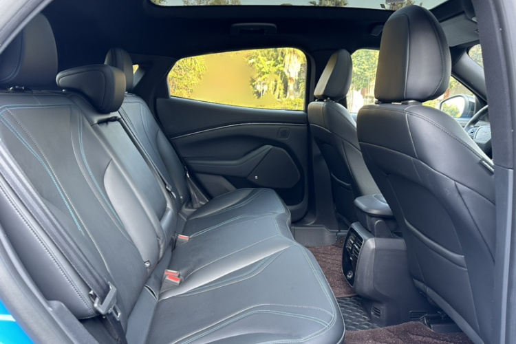 Ford Mustang Mach-E 2022 car image #18