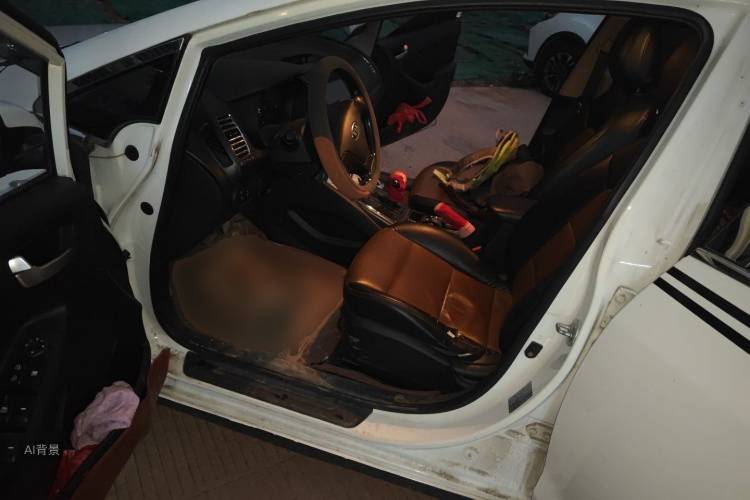 Kia K3 2017 #18 Kia K3 2017 car image #18