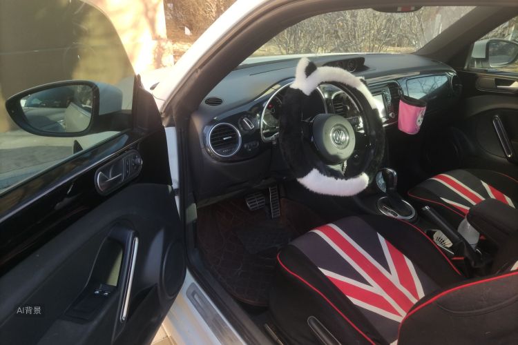 Volkswagen Beetle 2016 #18 Volkswagen Beetle 2016 car image #18