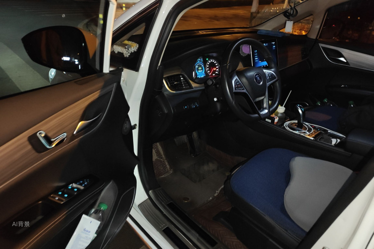 BYD 2019 car image #18
