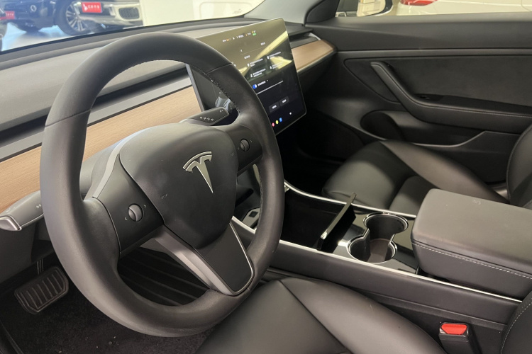 Tesla Model 3 2020 immagine di auto #18