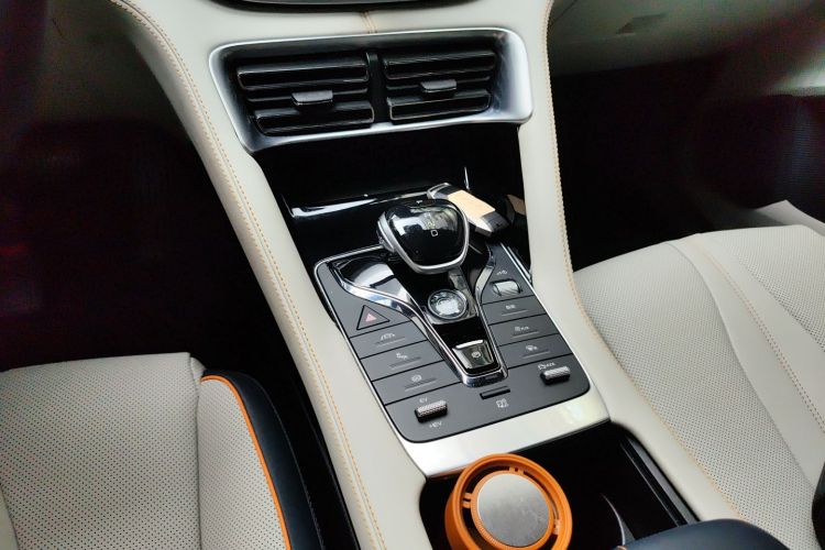 BYD Song Plus New Energy 2021 car image #18
