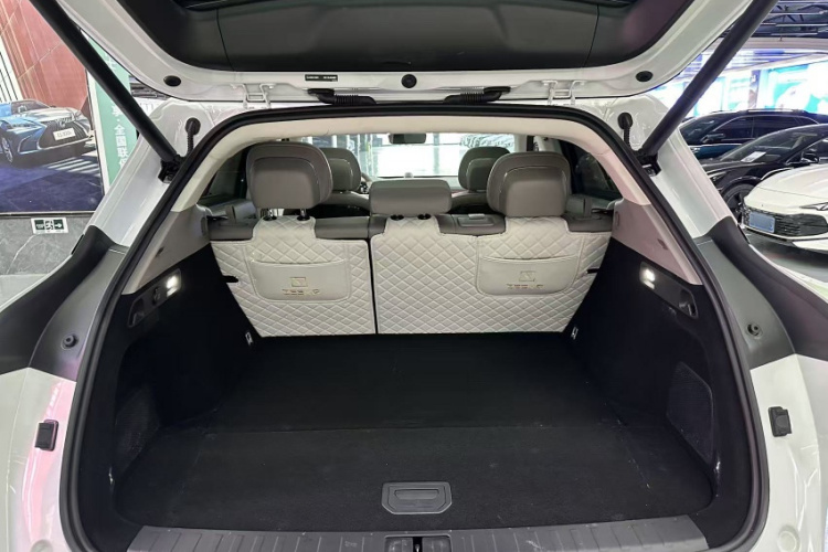 Zeekr 7X 2025 car image #18