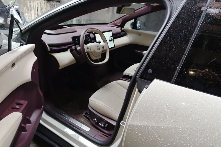 极氪 极氪X 2023 汽车图片 #18