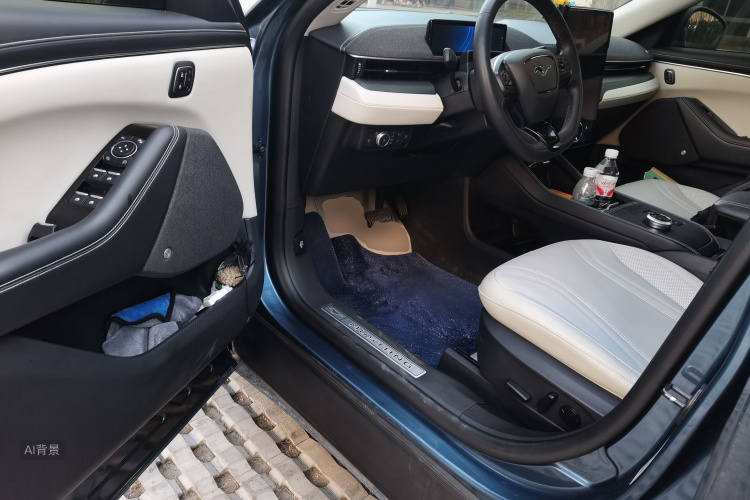 Ford Mustang Mach-E 2023 car image #18