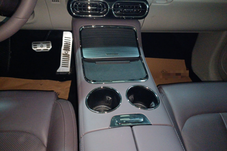 Leapmotor C11 2023 car image #18
