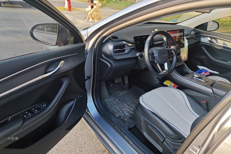 BYD Destroyer 05 2024 car image #18
