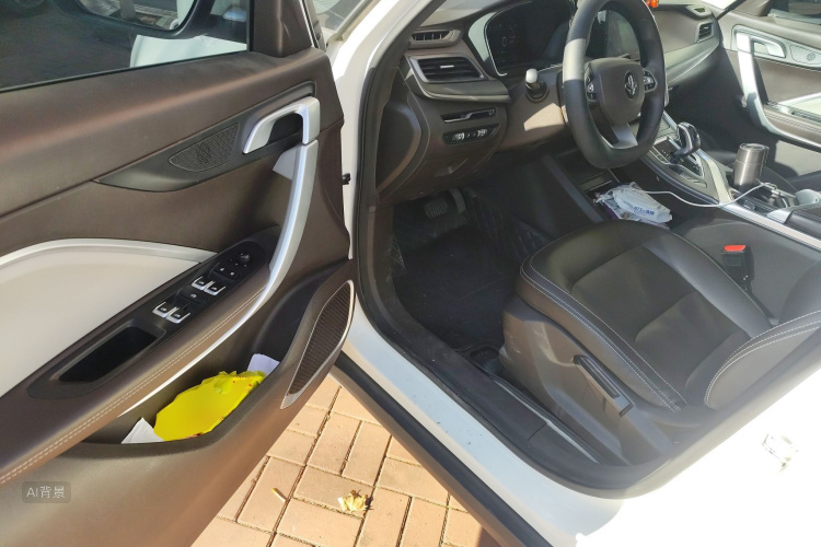 睿蓝汽车 枫叶80v 2022 汽车图片 #18