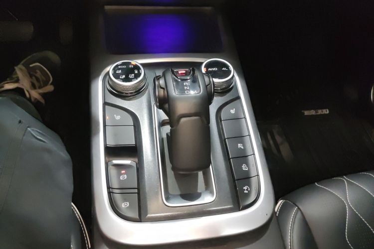 Tank 300 2021 immagine di auto #18