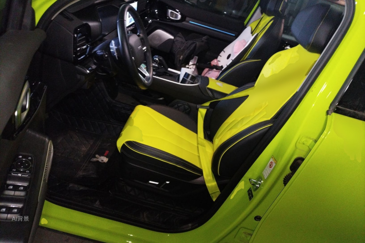 Haval Dargo 2022 car image #18