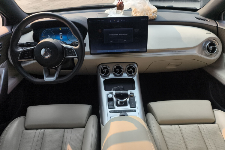 Denza X 2020 car image #18