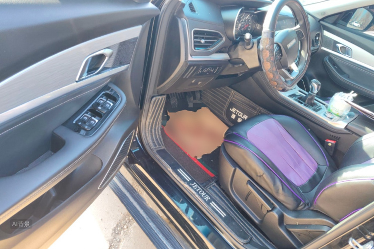 Jetour X70 2020 car image #18