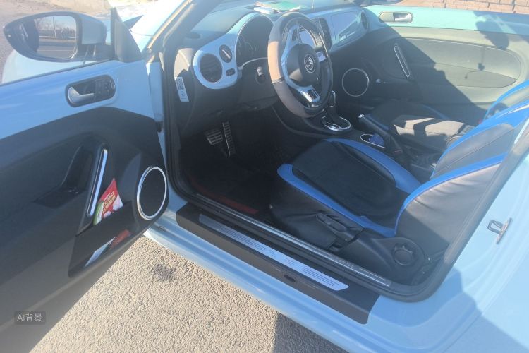 Volkswagen Beetle 2014 immagine di auto #18