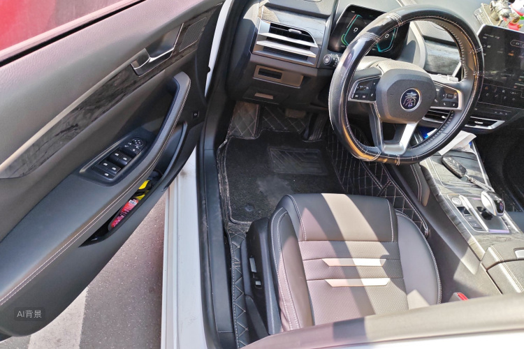 BYD Qin Pro New Energy 2019 #18 BYD Qin Pro New Energy 2019 car image #18