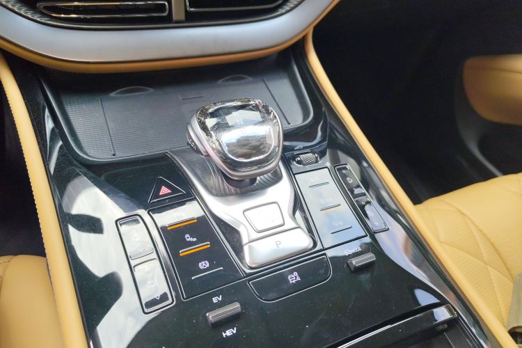 Denza D9 2024 صورة سيارة #18