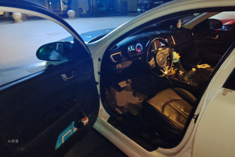 Kia K5 2016 car image #18