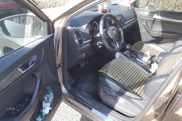 Skoda Karoq 2019 car image #18