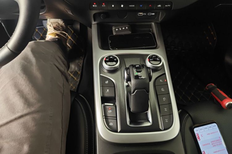 Tank 300 New Energy 2024 car image #18