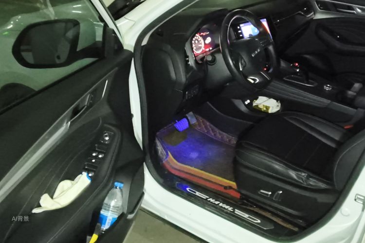 Haval F7 2019 car image #18