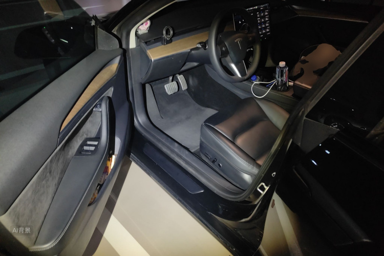 Tesla Model 3 2021 car image #18