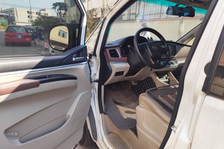 Forthing Lingzhi 2019 immagine di auto #18