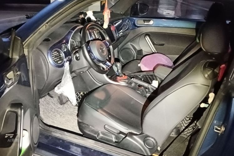 Volkswagen Beetle 2019 imagem de carro #18