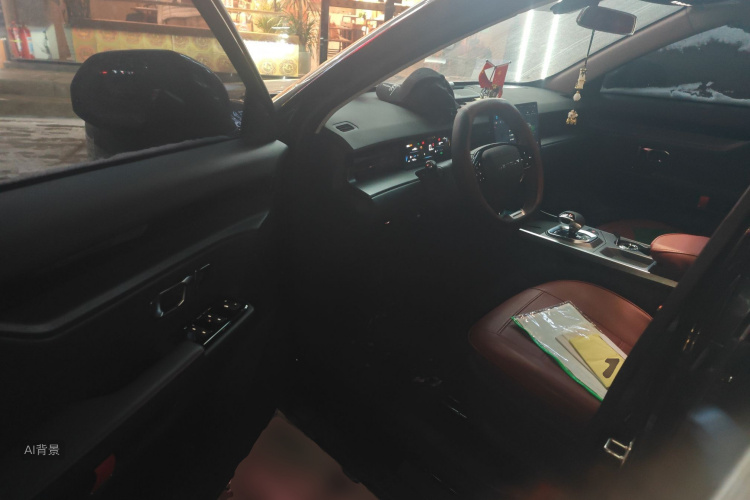 Dashing 2025 car image #18