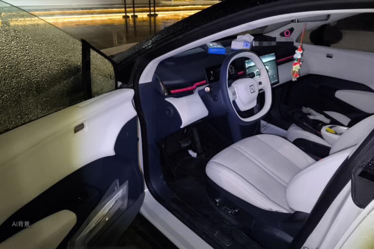 极氪 极氪X 2023 汽车图片 #18