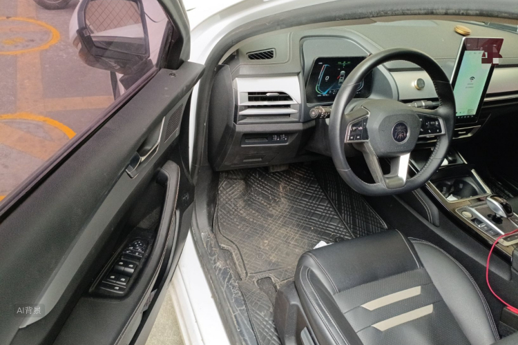 BYD Qin Pro New Energy 2019 #18 BYD Qin Pro New Energy 2019 car image #18