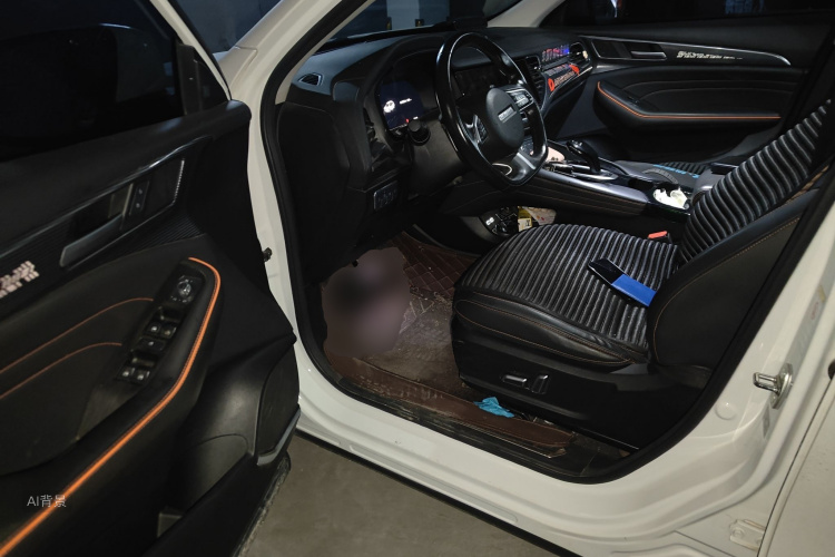 Haval F7 2020 car image #18